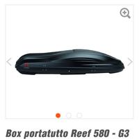Box portatutto/porta sci G3 580