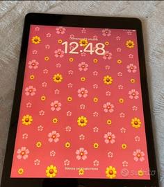 Ipad schermo 10.2 pollici