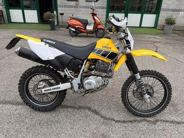 Yamaha TT 600 R - 2002 Special Foffo Designs