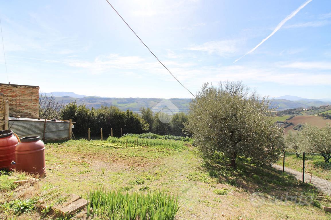 RUSTICO A MONTERUBBIANO - Vista 5