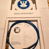 Nordost Blue Heaven ditatal interconnect