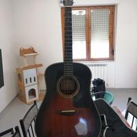 Chitarra Acustica Ibanez 10-pftv fuori Produzione