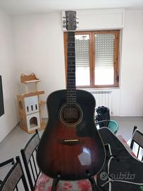 Chitarra Acustica Ibanez 10-pftv fuori Produzione