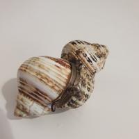 ciondolo conchiglia porta pillole