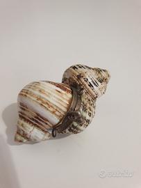 ciondolo conchiglia porta pillole