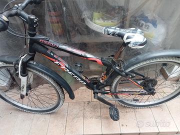 Bicicletta Frera