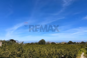 Terreno - Palermo