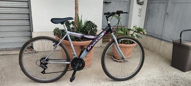 Mountain bike