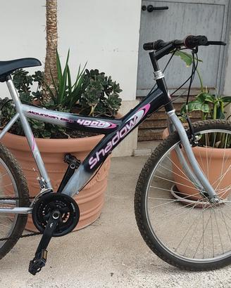 Mountain bike