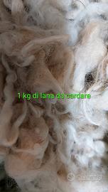 Lana da cardare 1 kg