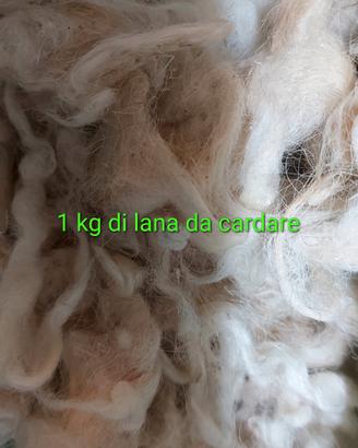 Lana da cardare 1 kg