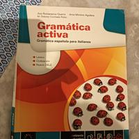 gramatica activa