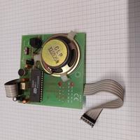 Sintesi vocale per centrali aritech serie cd