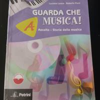 Guarda che musica A