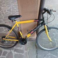 bicicletta