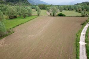 Terreno agricolo 6750mq