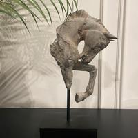 Busto scultura cavallo