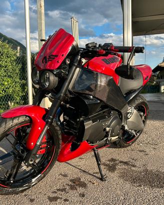 Buell xb12s pro series