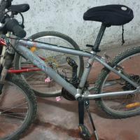 2 mountain bike usate come in foto 