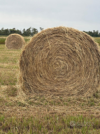 Balloni loietto puro