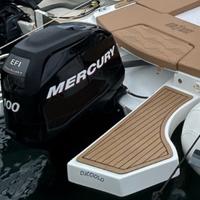 Motore Mercury 100 EFI (veradino)