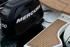 Motore Mercury 100 EFI (veradino)