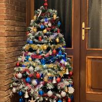 Albero di Natale Pino Barrington 150cm