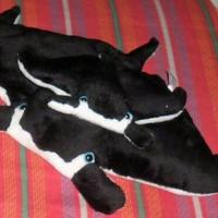 Peluche toy mamma Gazza Manta di mare con cucciolo