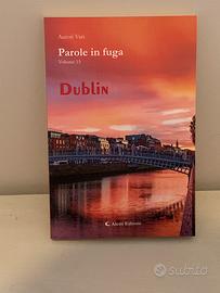 Dublin - parole in fuga vol 15
