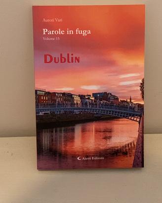 Dublin - parole in fuga vol 15