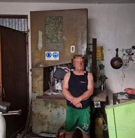 Sega a nastro volano 80 motore 5,5CV