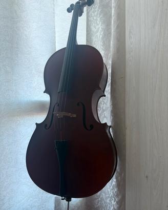 Strumenti musicali Violoncello