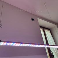 Lampada sospesa per acquario