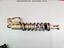 Immagine 22