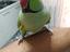 Immagine 1