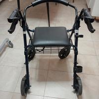 carello per disabili 