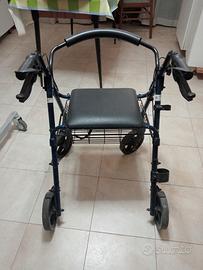 carello per disabili 