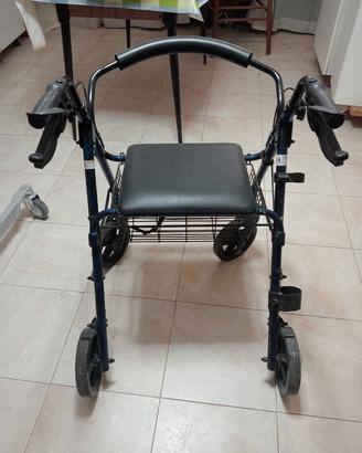 carello per disabili 