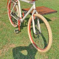 Bici mtb