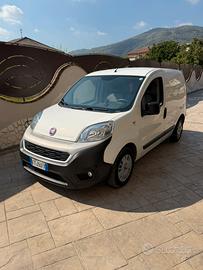Fiorino 2019