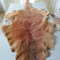tappeto pelle canguro