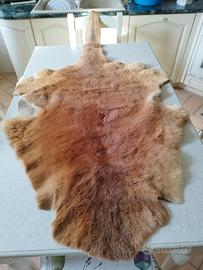 tappeto pelle canguro