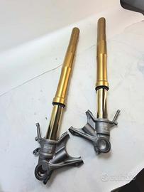 Ohlins elettroniche FL 2201 per Panigale V4s 2025