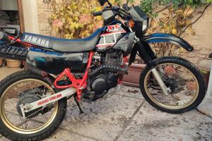 ricambi 43 F 1985