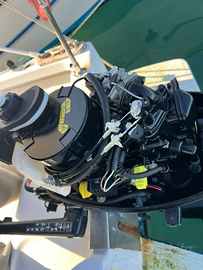 Mercury sail Power 5cv 2024