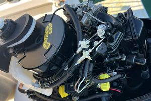 Mercury sail Power 5cv 2024