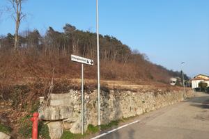 Terreno Agricolo esteso e ampio a Bizzarone