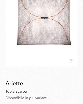 Flos Ariette
