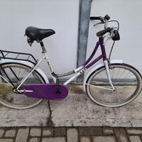 due biciclette 