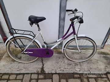 due biciclette 